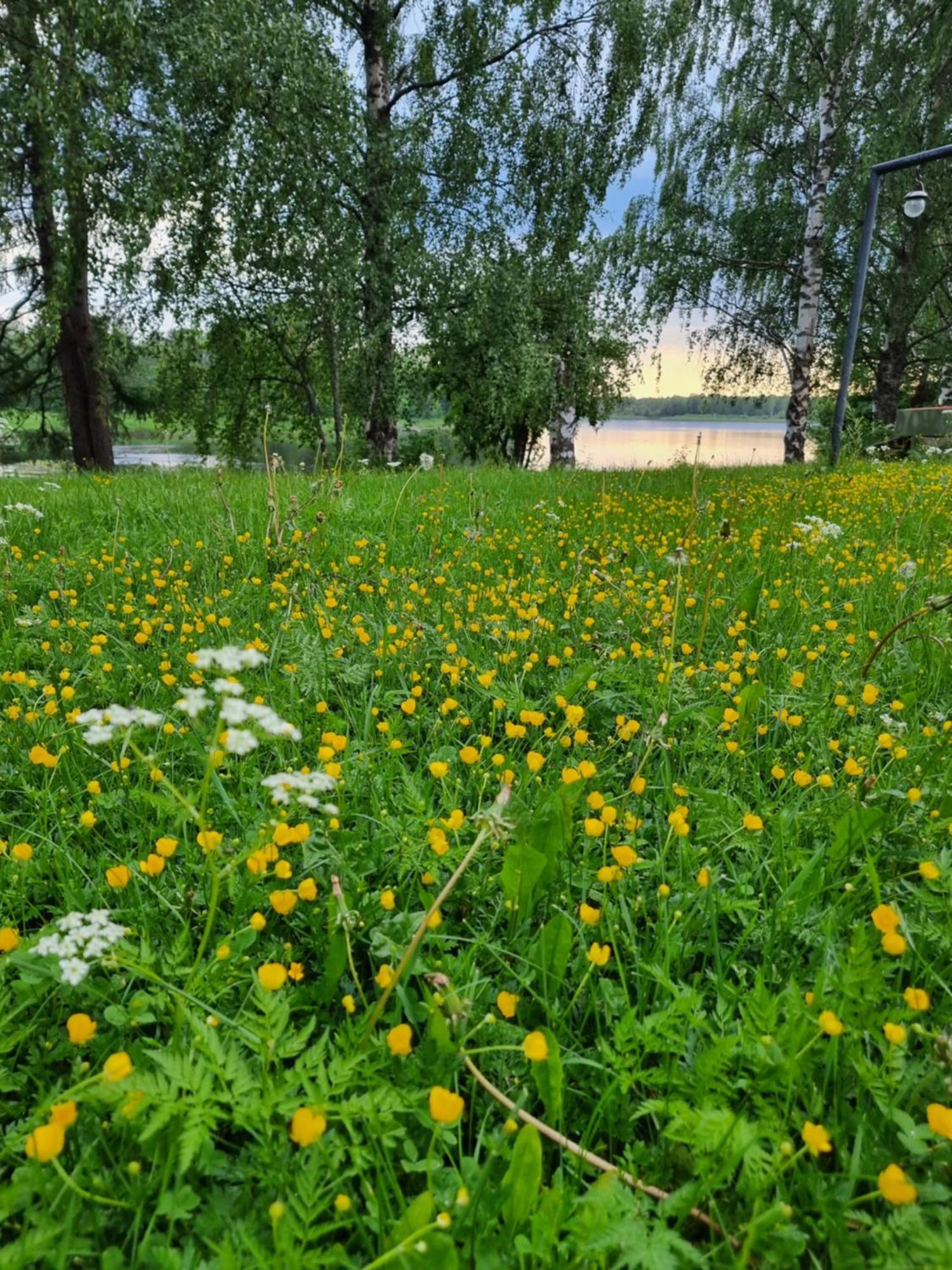 Ferienwohnung Wanha Kunnantalo Pudasjarvi Exterior foto